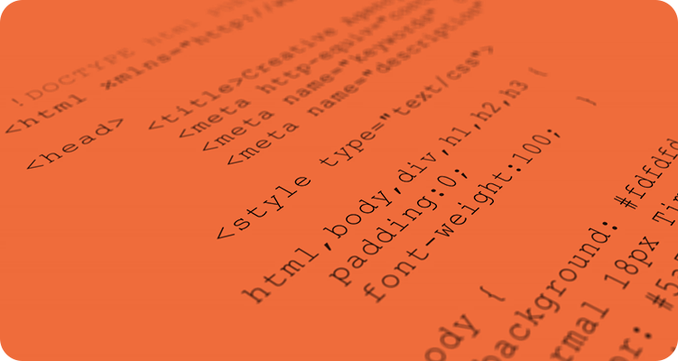 WordPress Development Solutions