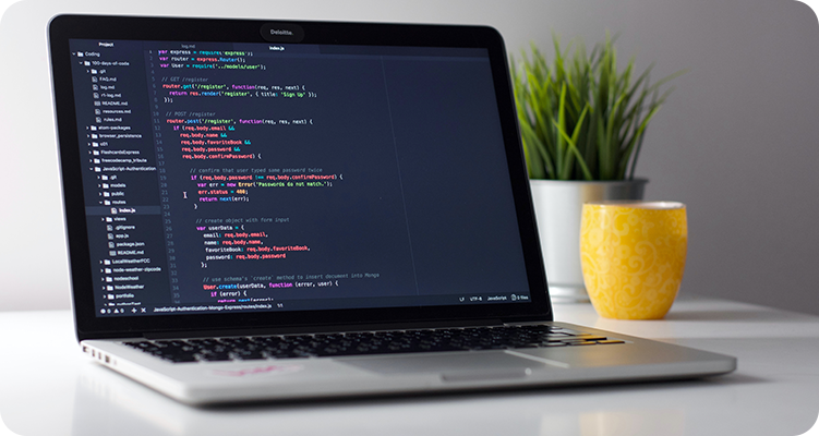 Front-end Development Programming Languages