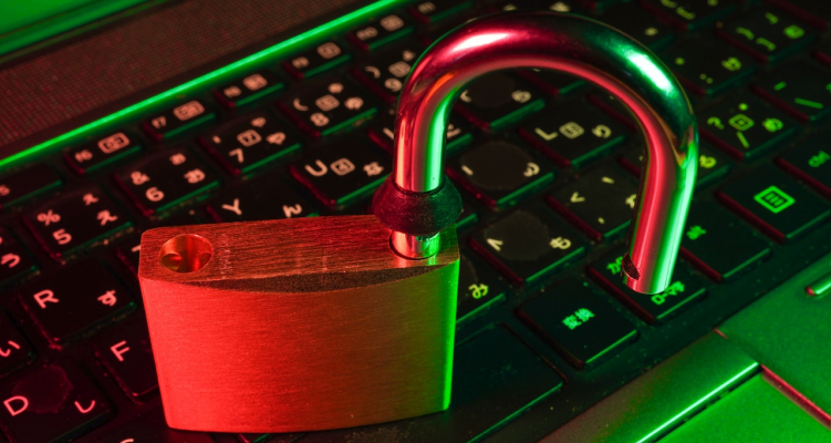 Top Shopify Developers