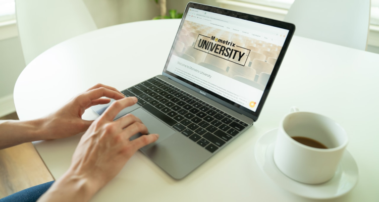 website design and development services