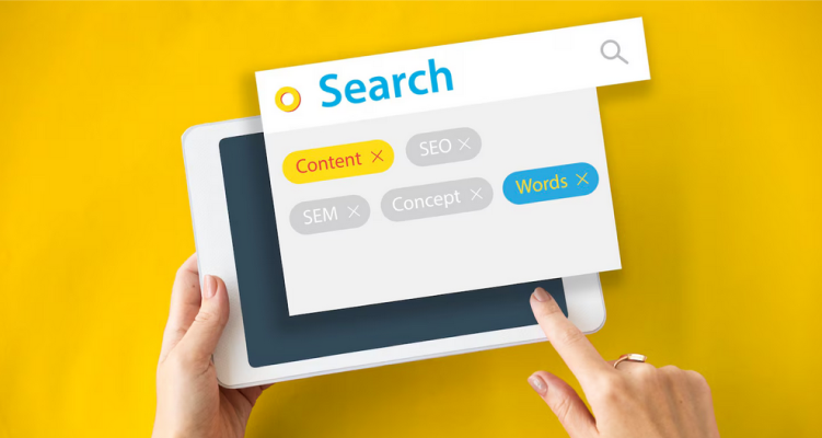 professional search engine optimization services
