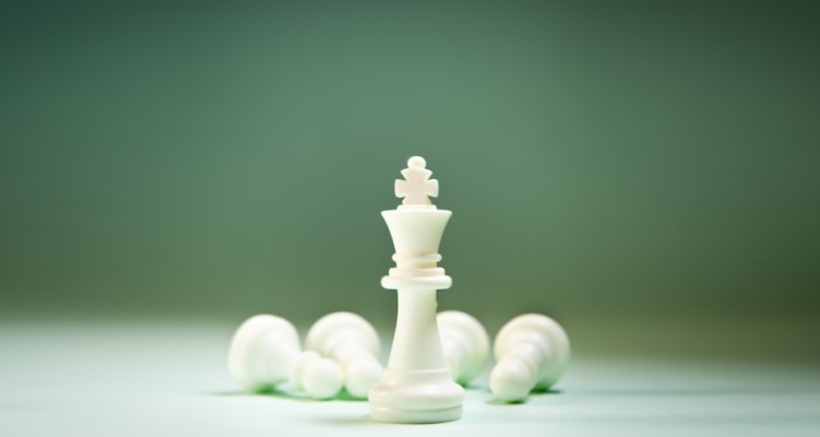 Stark Edge Your Trusted Shopify Agency Partners