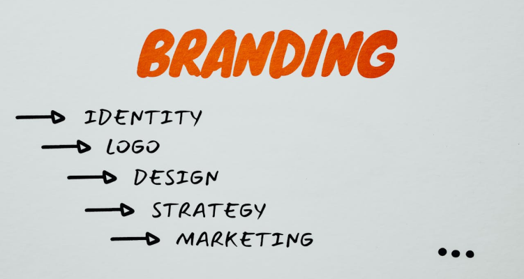 website design and development services