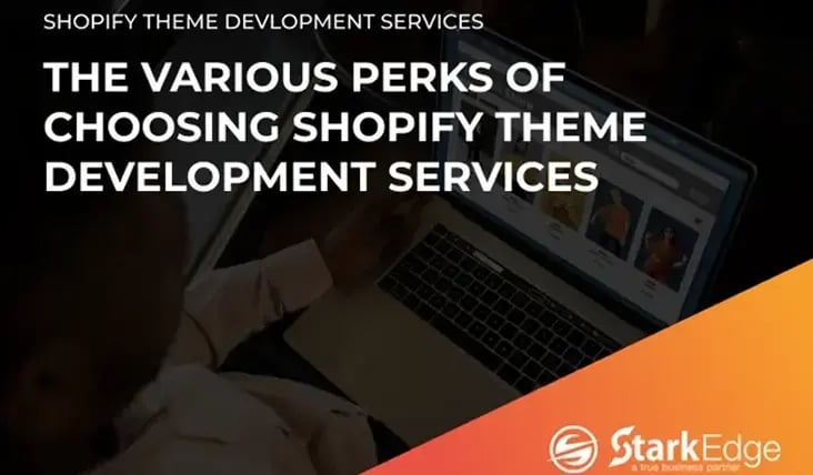 Various Perks of Choosing Shopify Theme