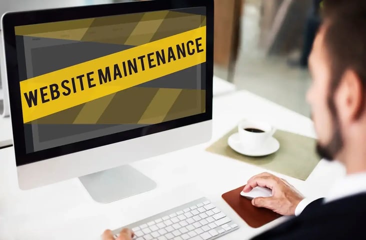 Ongoing Support and Maintenance v1
