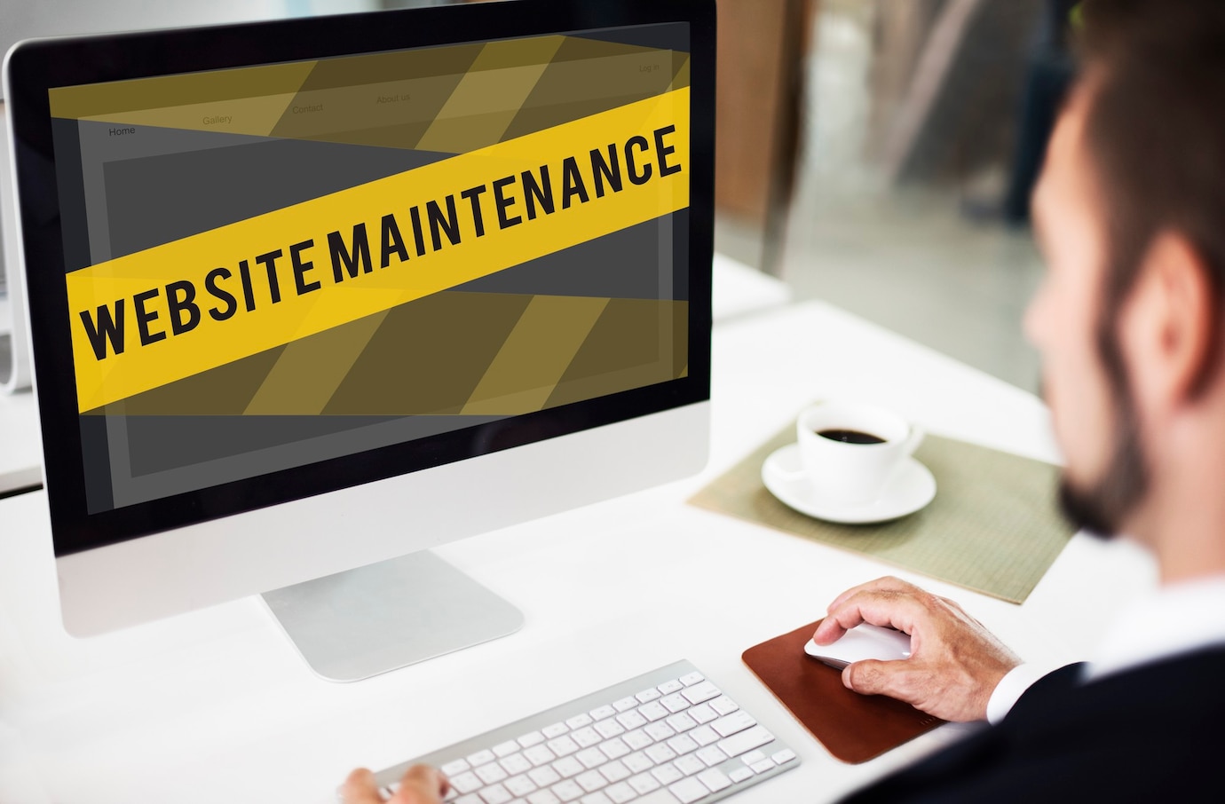 Ongoing Support and Maintenance