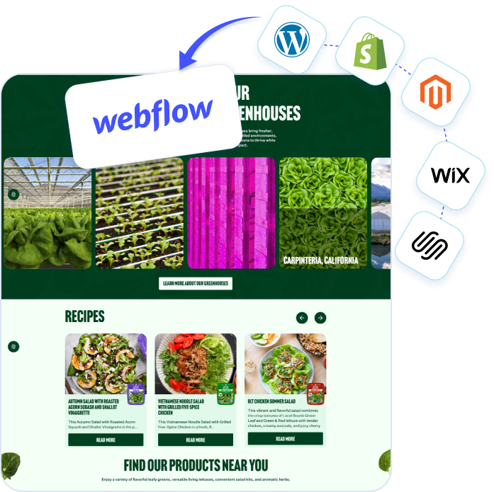 webflow-