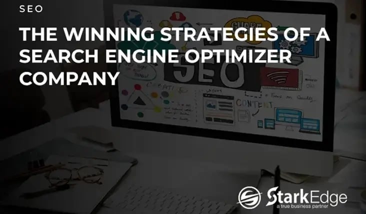 The Winning Strategies of A Search Engine