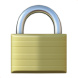 🔒